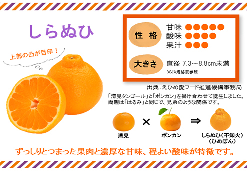 スクリーンショット (4).jpg