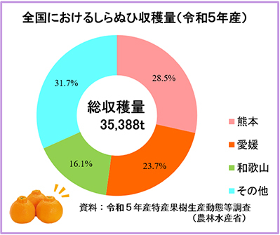 しらぬひグラフ.jpg