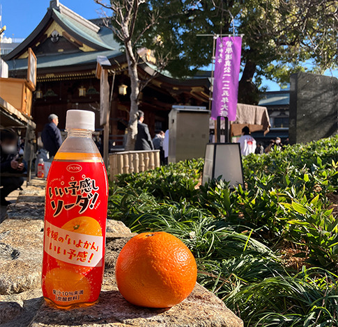 2026.1.12 いい予感しソーダ.jpg